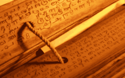 Der Stellenwert und die Bedeutung von Asanas im Yoga Teil 2