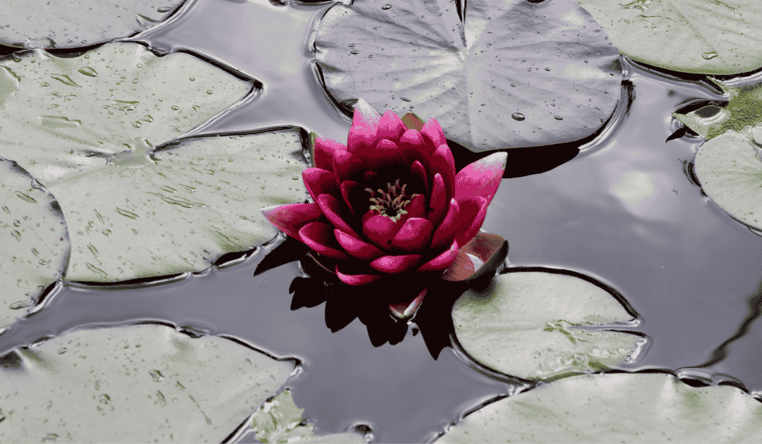 Psychosomatische  Wirkungen der Asana Praxis